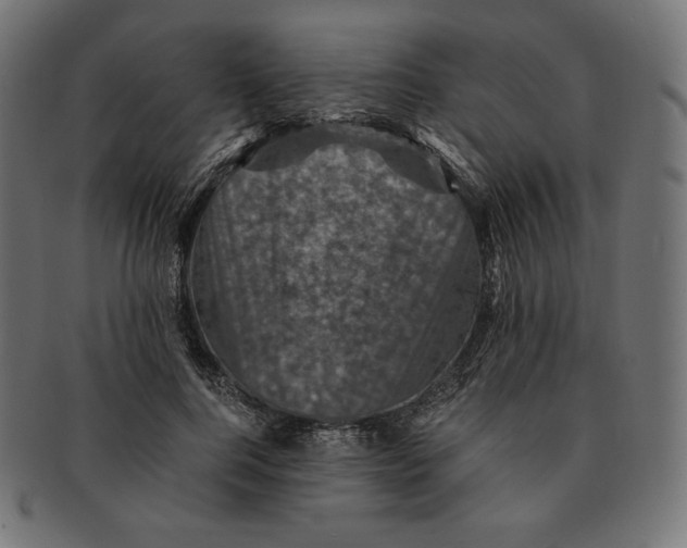 X0000091710744200709210941