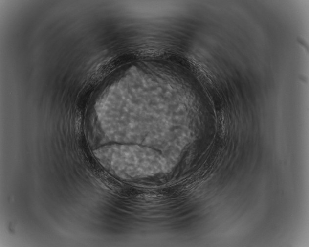 X0000091710745200709210941