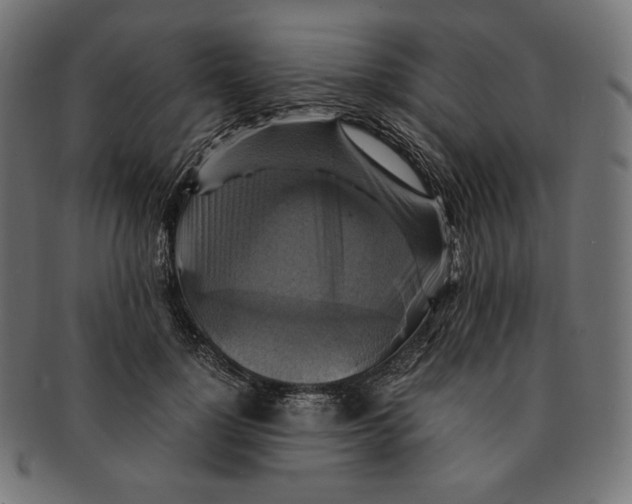 X0000091710748200709210941