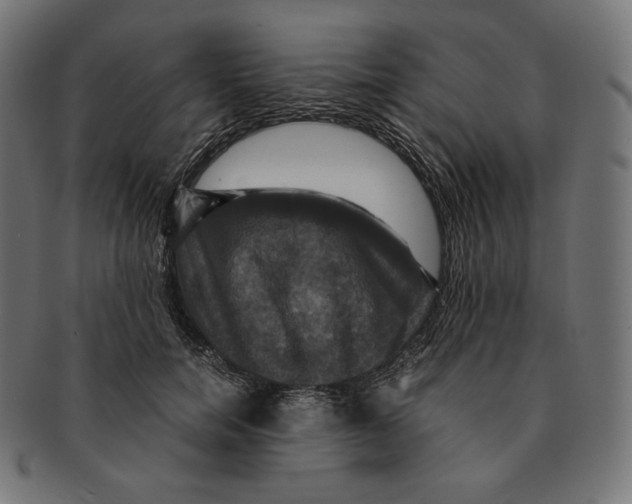 X0000091710750200709210941