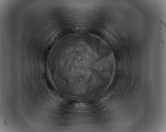 X0000091710751200709210941
