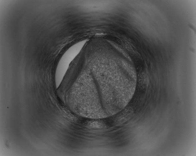 X0000091710755200709210941