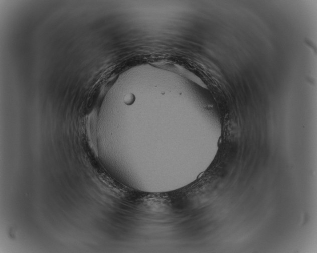 X0000091710756200709210941