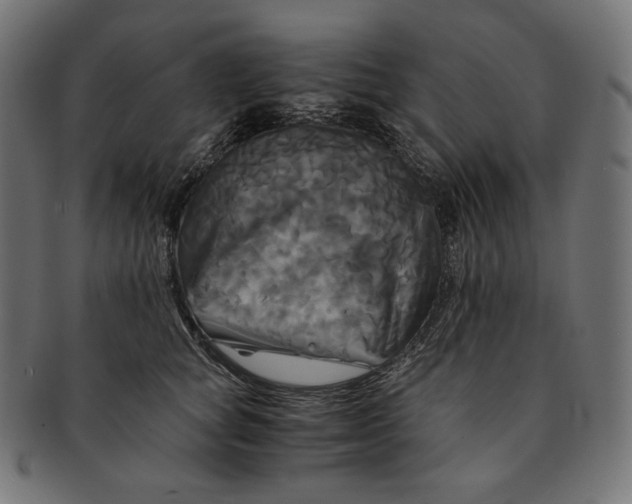 X0000091710757200709210941