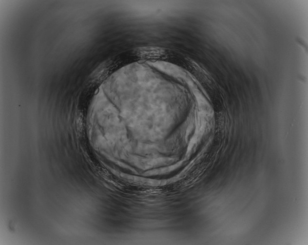 X0000091710761200709210941