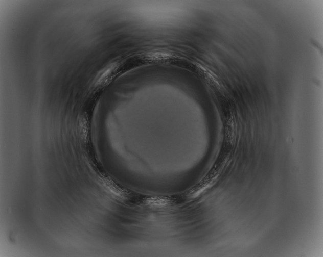 X0000091710762200709210941