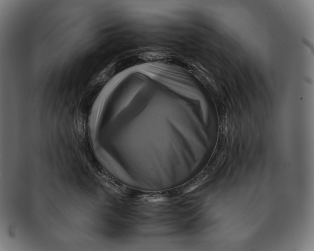 X0000091710763200709210941