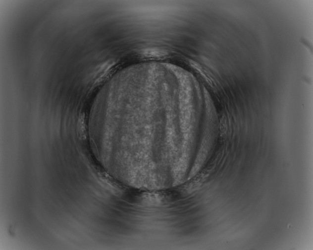 X0000091710764200709210941