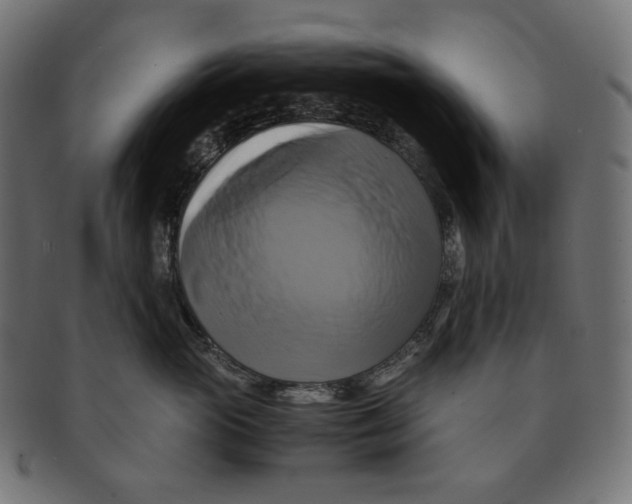 X0000091710765200709210941