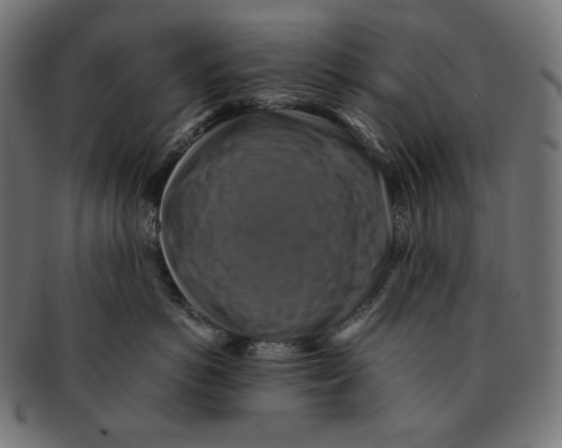 X0000091710766200709210941