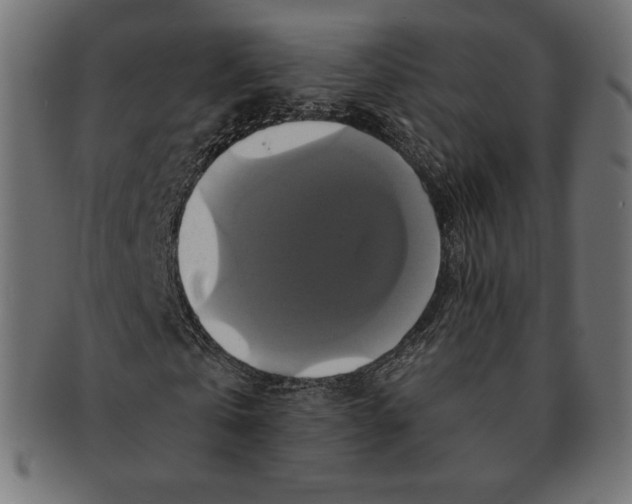 X0000091710769200709210941