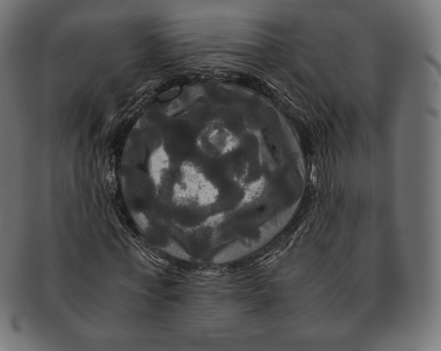 X0000091710771200709210941