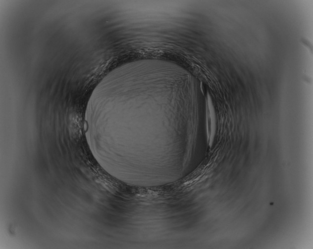 X0000091710772200709210941