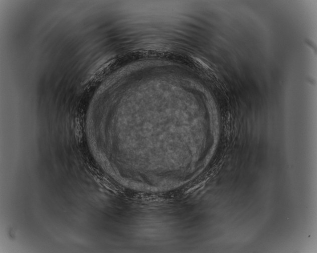 X0000091710774200709210941