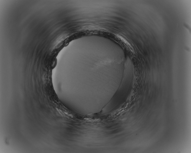 X0000091710775200709210941