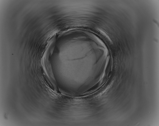 X0000091710777200709210941