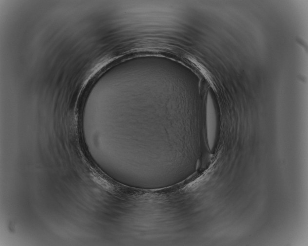 X0000091710779200709210941