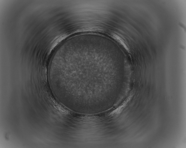 X0000091710781200709210941