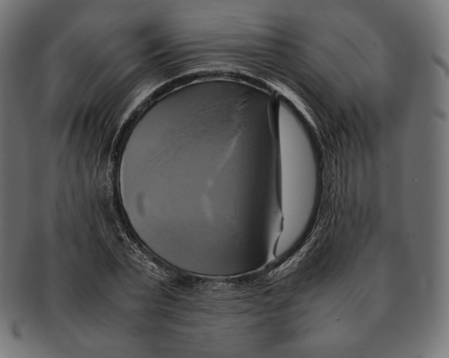 X0000091710783200709210941