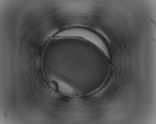 X0000091710785200709210941