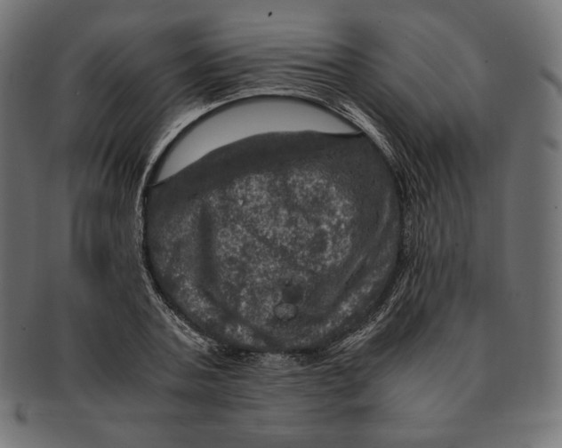 X0000091710787200709210941