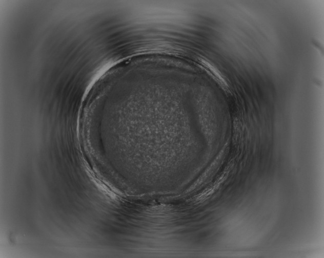 X0000091710788200709210941