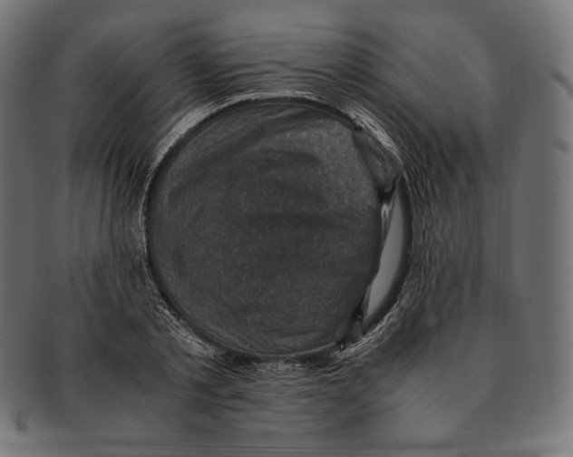 X0000091710789200709210940