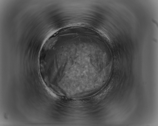 X0000091710792200709210940