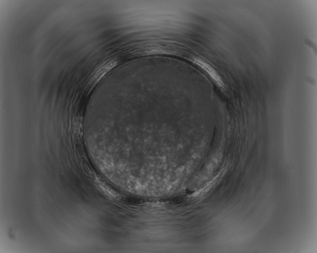 X0000091710793200709210940