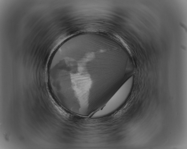 X0000091710795200709210940