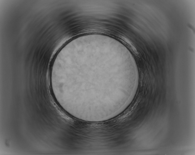 X0000091710796200709210940