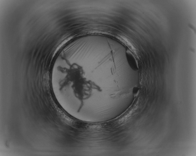 X0000091710798200709210940