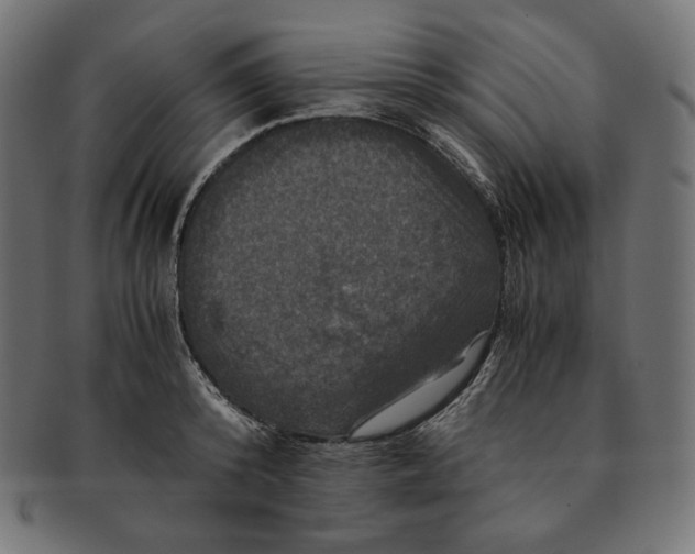 X0000091710800200709210940