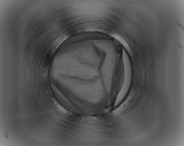 X0000091710801200709210940