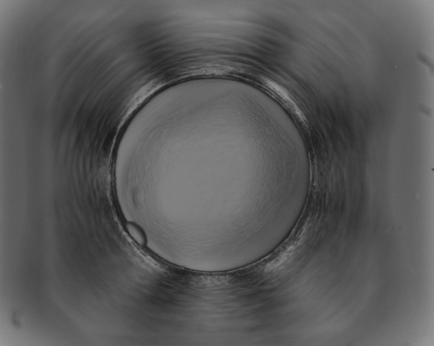 X0000091710802200709210940