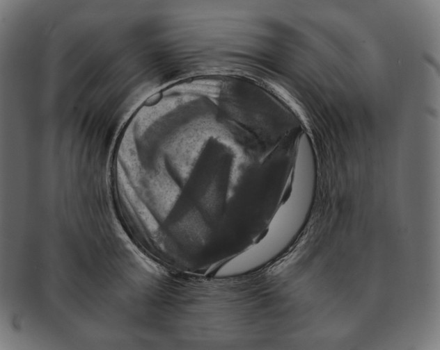 X0000091710803200709210940