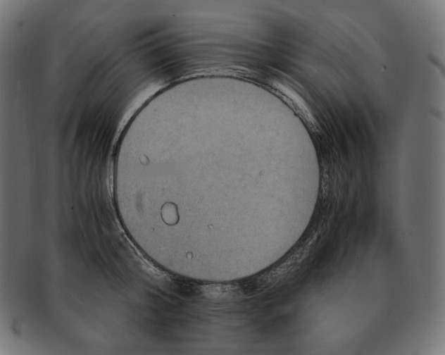 X0000091710804200709210940