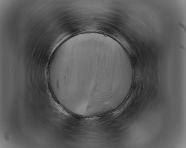 X0000091710806200709210940