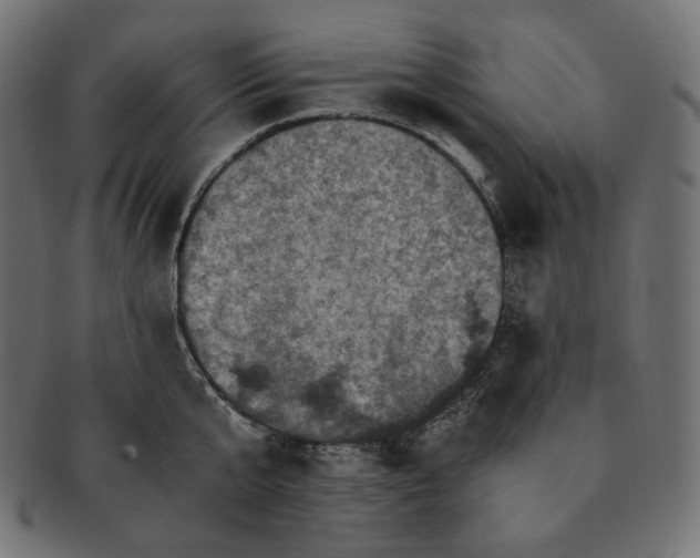 X0000091710807200709210940