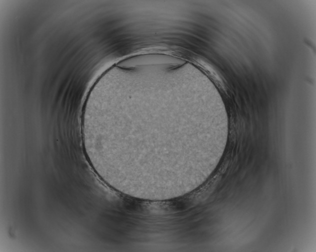 X0000091710808200709210940