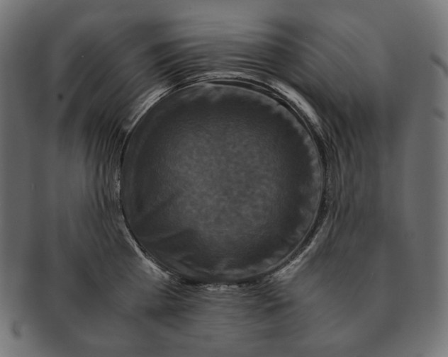 X0000091710809200709210940