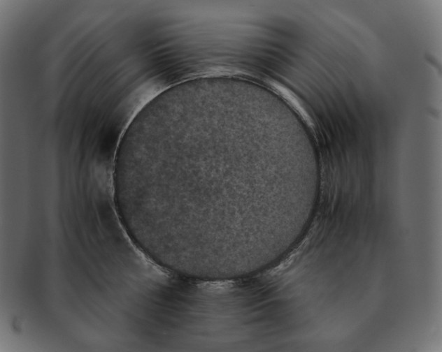 X0000091710810200709210940