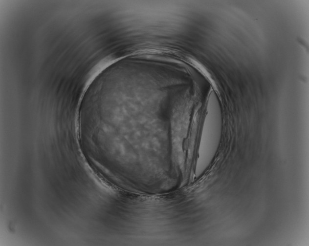 X0000091710811200709210940