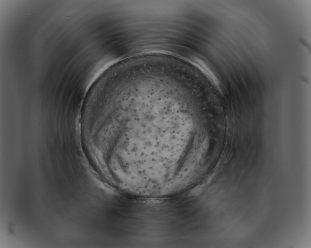 X0000091710814200709210940