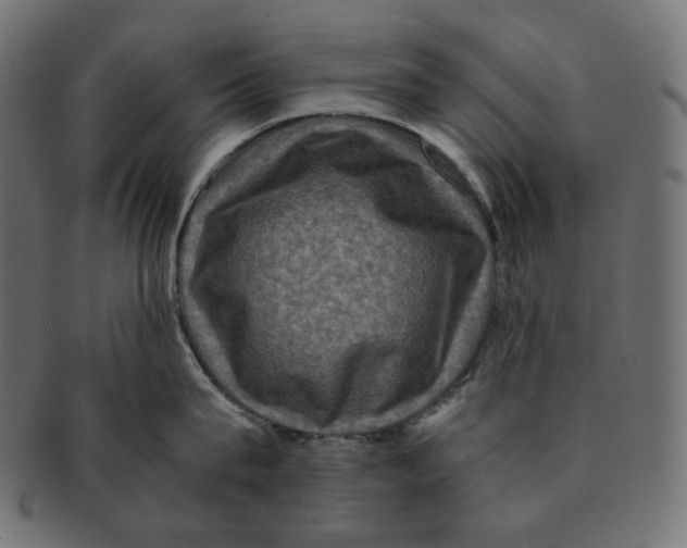 X0000091710815200709210940