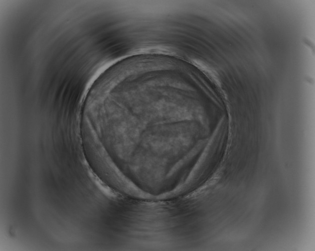 X0000091710816200709210940