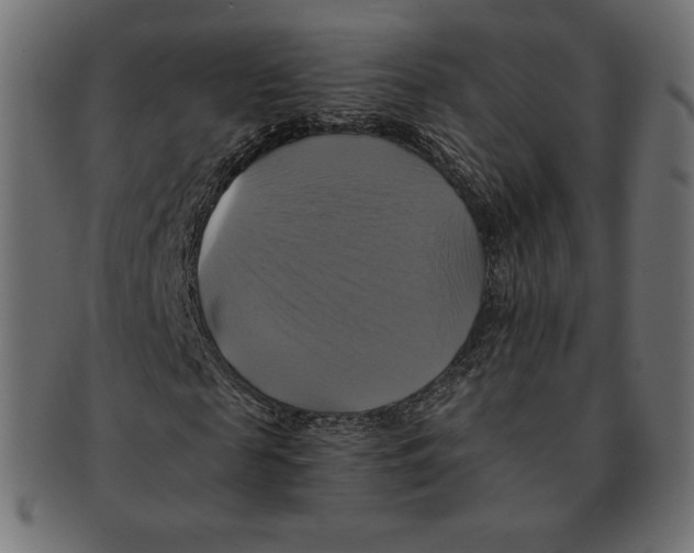 X0000091710817200709210940