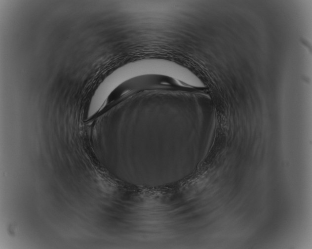 X0000091710818200709210940