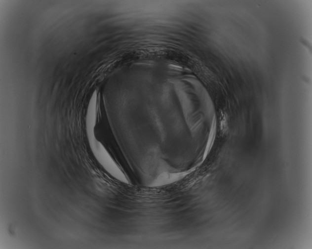 X0000091710819200709210940