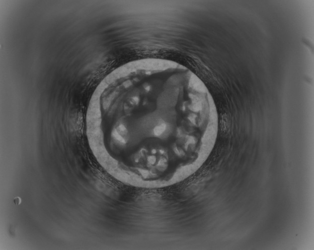 X0000091710820200709210940